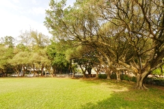 DSC00413-2