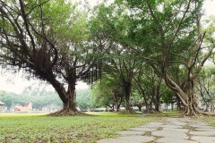E4929D23-F932-49D2-B3CD-D55998E1E1FE
